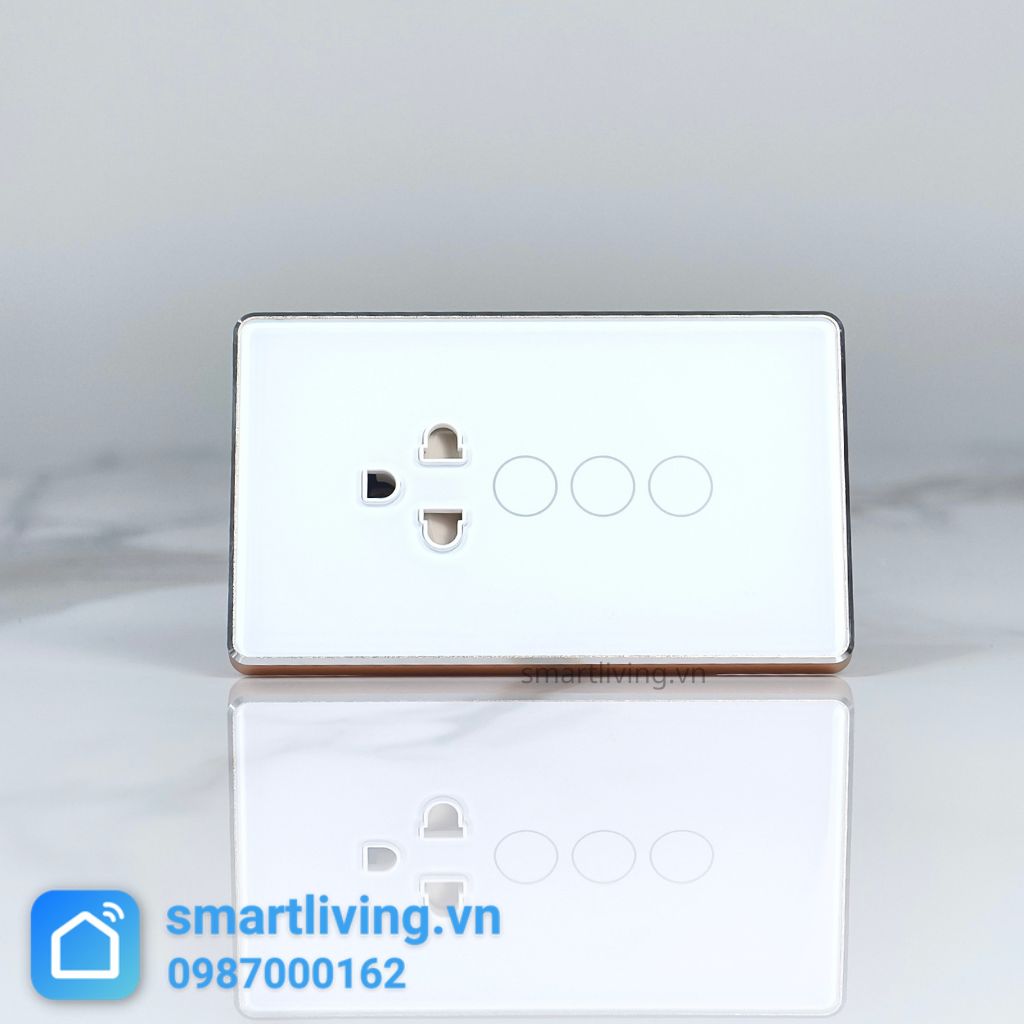 Công tắc 2 nút + Ổ cắm Zigbee Tuya