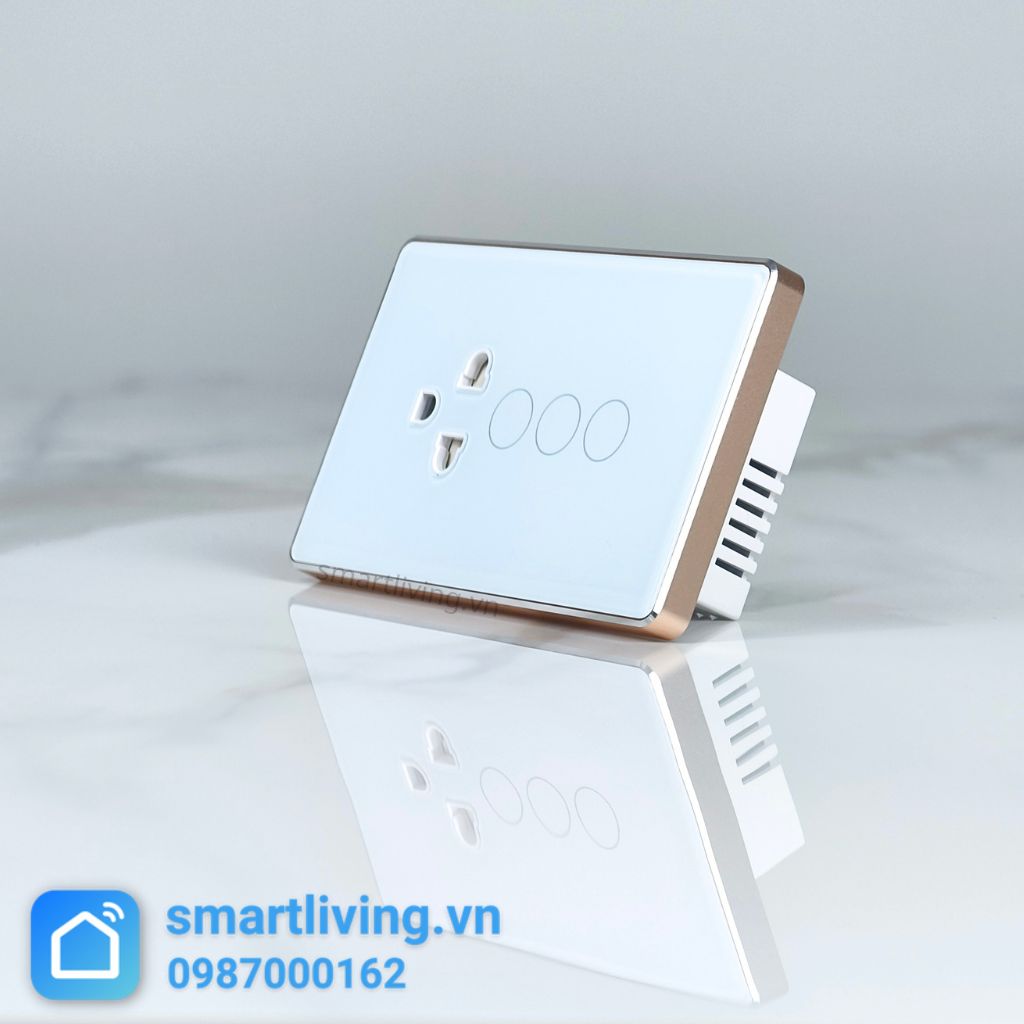 Công tắc 2 nút + Ổ cắm Zigbee Tuya