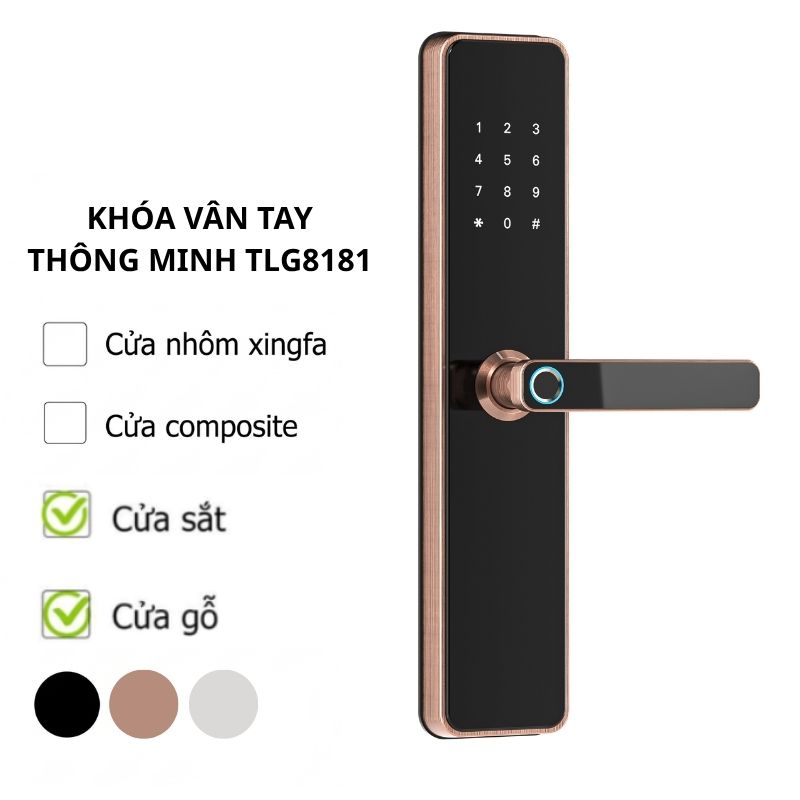 Khóa Vân Tay Thông Minh TLG8181 - Thay Thế Khóa Cửa Chính Chung Cư, Cửa Đại Sảnh, Cửa Phòng Gỗ